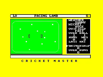 Cricket Master (UK) (1989) screen shot game playing